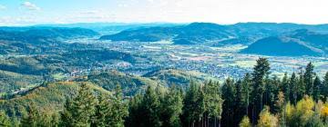 schwarzwald wellness hotel