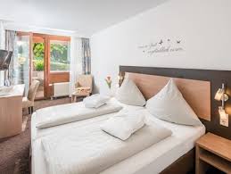 hotel schwarzwald mit hund