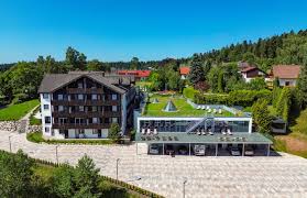 wellness mit hund schwarzwald