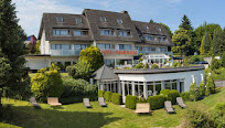 wellnesshotel mit hund eifel