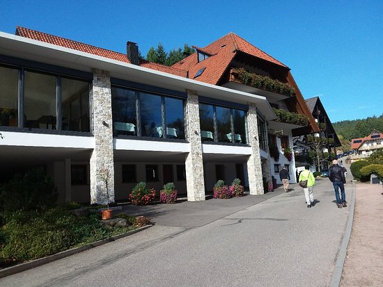 hotel adler st roman