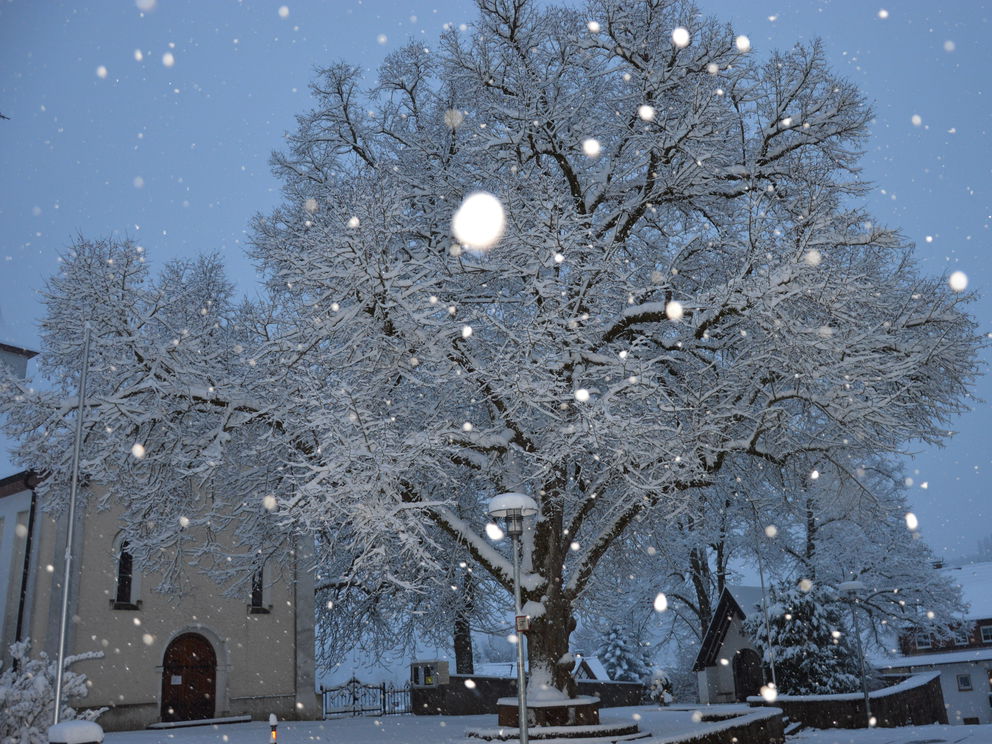 wellness silvester schwarzwald